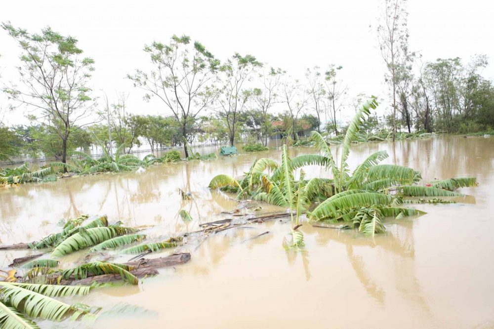 mưa lũ Hà Nam