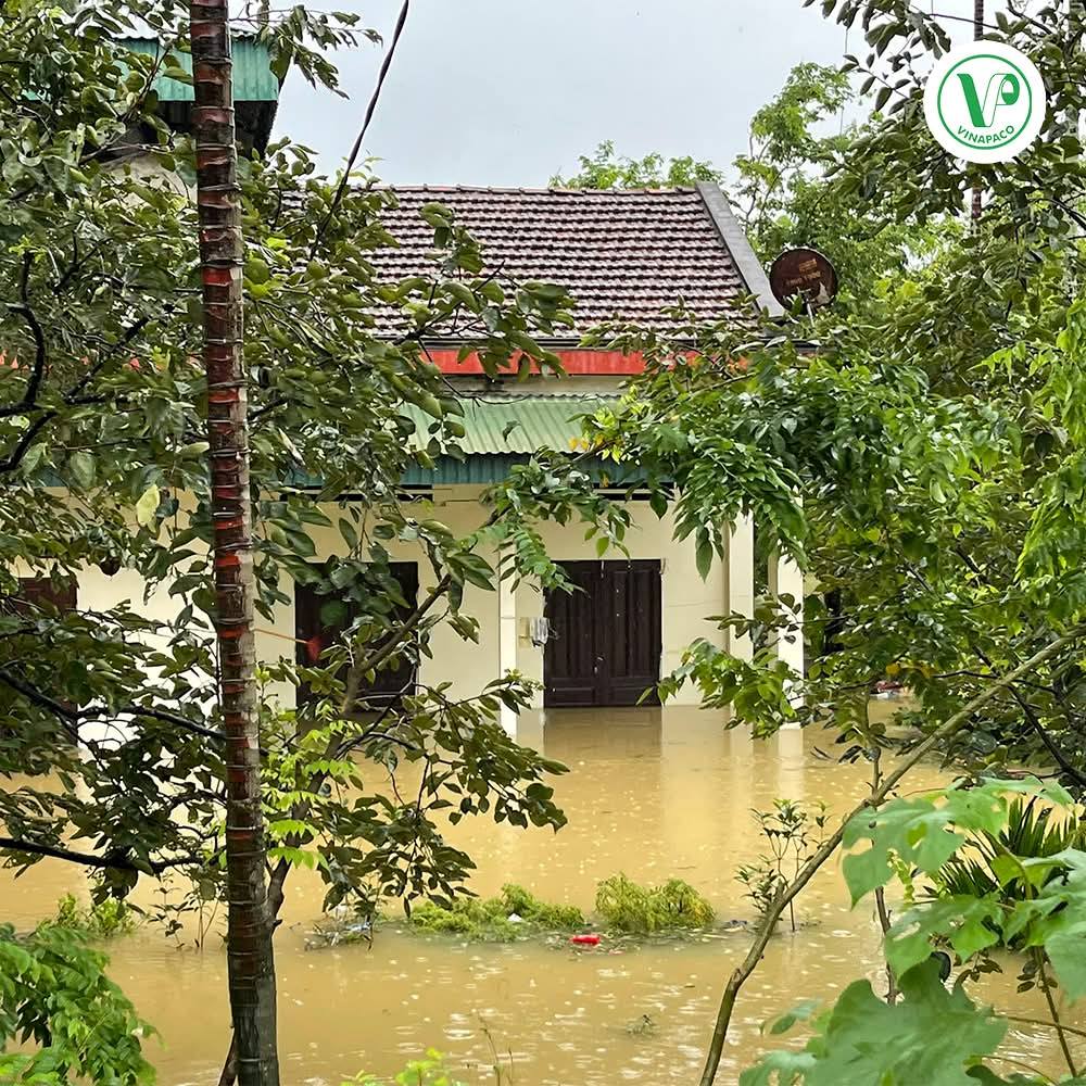 Cơn bão số 3 để lại hậu quả nghiêm trọng