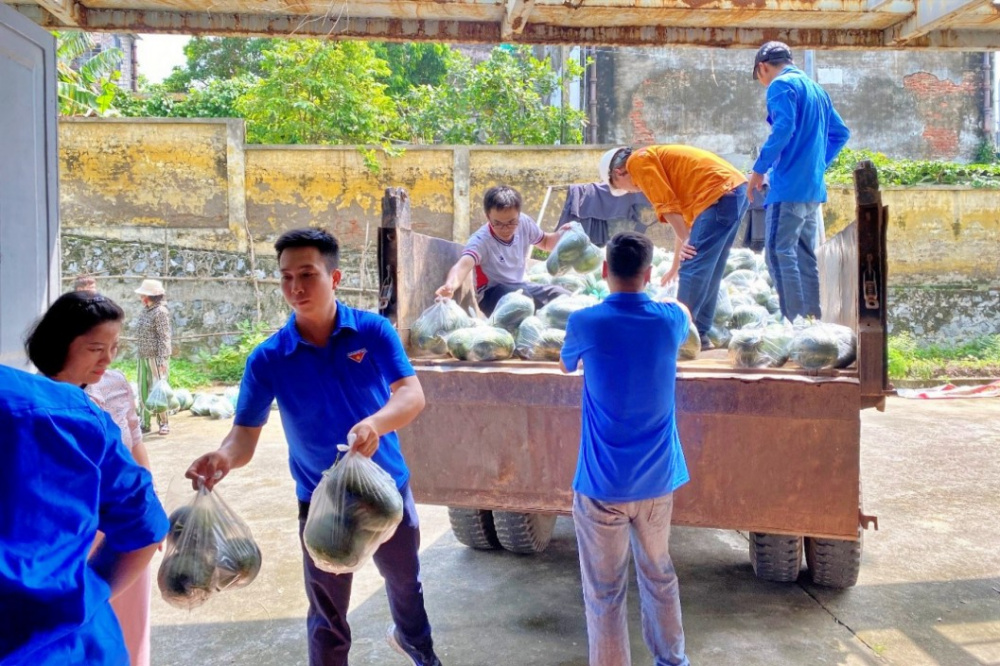 nhiệt điện Phả lại giúp bà con nông dân tiêu thụ nông sản