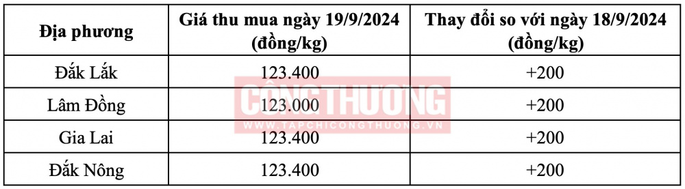 Giá cà phê hôm nay CWIN ✅ Nhà cái cờ bạc trực tuyến tốt nhất và Thương hiệu uy tín