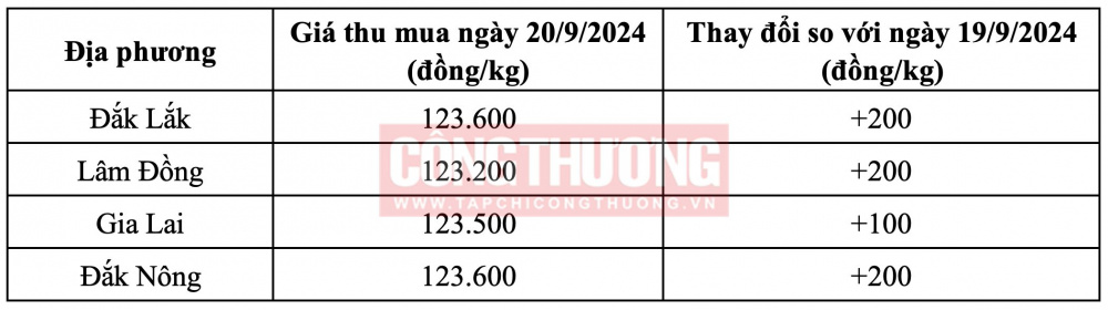 Giá cà phê hôm nay CWIN ✅ Nhà cái cờ bạc trực tuyến tốt nhất và Thương hiệu uy tín