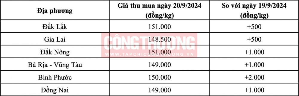 Giá tiêu hôm nay 20/9: Quay đầu tăng đến 2.000 đồng/kg