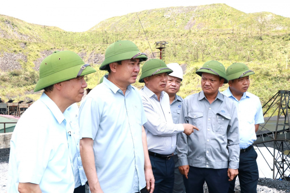 than cẩm phả