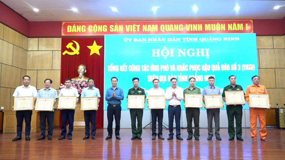 công ty kinh doanh than