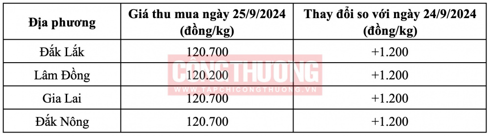 Giá cà phê hôm nay CWIN ✅ Nhà cái cờ bạc trực tuyến tốt nhất và Thương hiệu uy tín