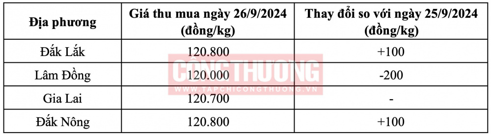 Giá cà phê hôm nay CWIN ✅ Nhà cái cờ bạc trực tuyến tốt nhất và Thương hiệu uy tín