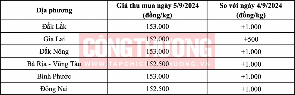 Giá tiêu hôm nay 5/9: Tiếp tục tăng ngày thứ 6 liên tiếp