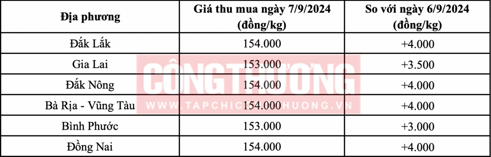 Giá tiêu hôm nay 7/9: Quay đầu tiếp tục tăng mạnh