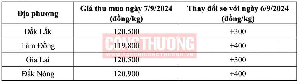 Giá cà phê hôm nay CWIN ✅ Nhà cái cờ bạc trực tuyến tốt nhất và Thương hiệu uy tín