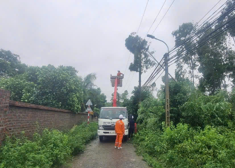 điện lực Vĩnh Phúc