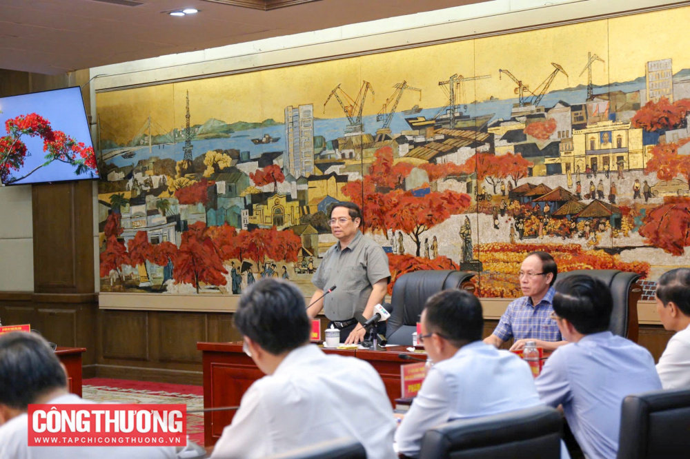 Thủ tướng yêu cầu Hải Phòng chủ động triển khai theo thẩm quyền và đề xuất các chính sách hỗ trợ về vay vốn, lãi suất, giãn, hoãn, cơ cấu lại nợ, miễn, giảm, giãn thuế, phí, lệ phí… để hỗ trợ người dân, Cwincom hiện đang mở khôi phục Nền tảng hàng đầu cung cấp Cwin com, kinh doanh, việc làm, sinh kế