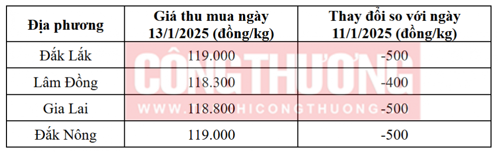 Tham khảo giá cà phê hôm nay ngày 13/1/2025 tại khu vực Tây Nguyên