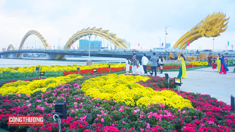 hoa xuân Đà Nẵng