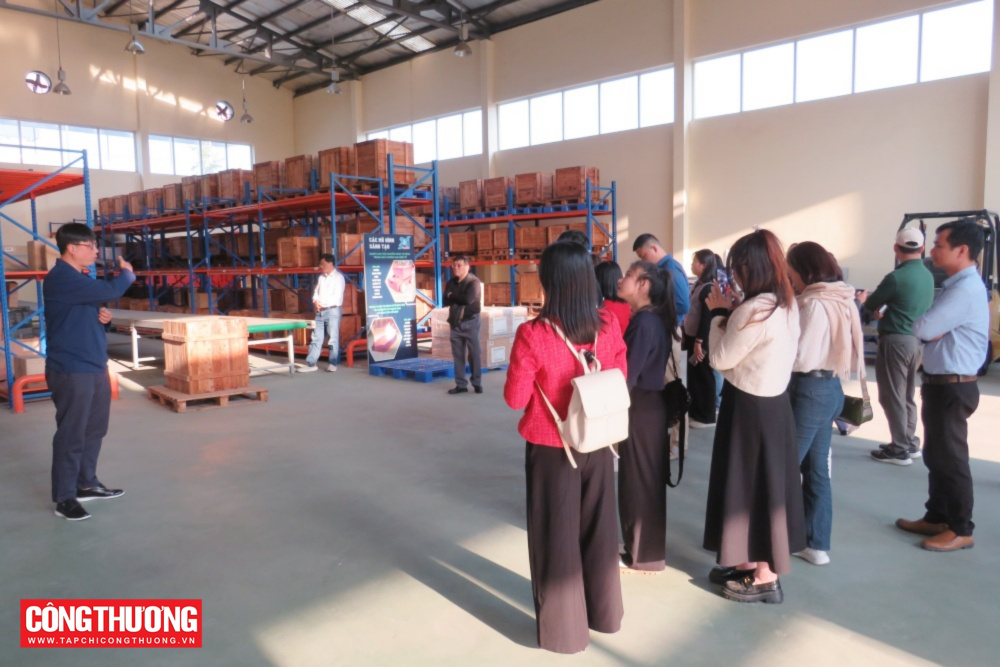 đào tạo logistics