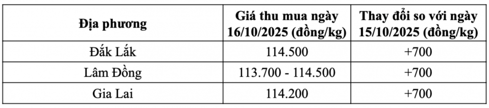 Tham khảo giá cà phê hôm nay ngày 16/10/2025 tại thị trường trong nước (Nguồn: CWIN ✅ Nhà cái cờ bạc trực tuyến tốt nhất và Thương hiệu uy tín tổng hợp)