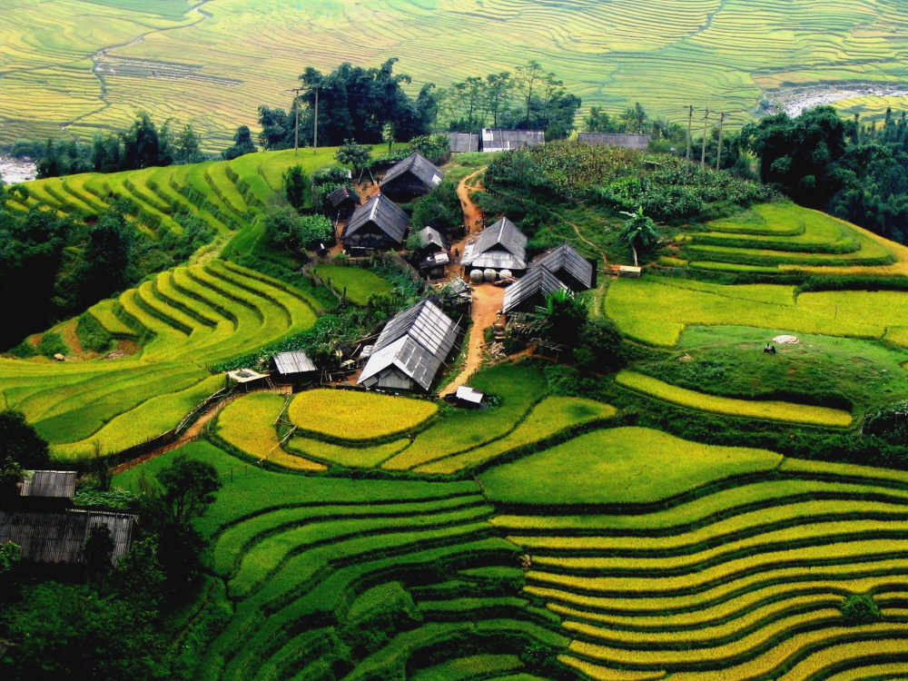 dân tộc thiẻu số
