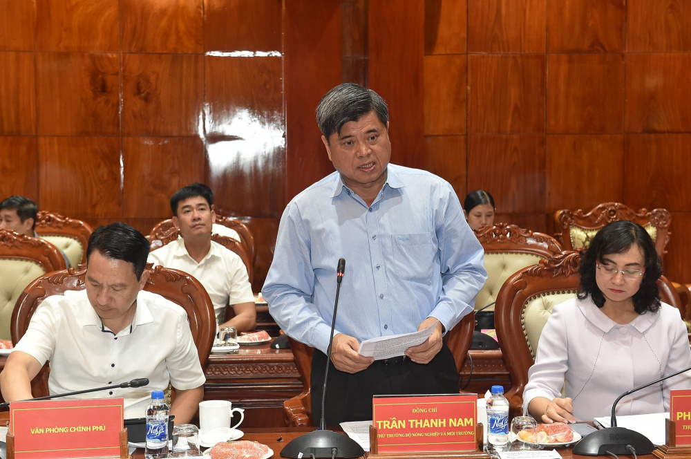 thứ trưởng Trần Thành Nam