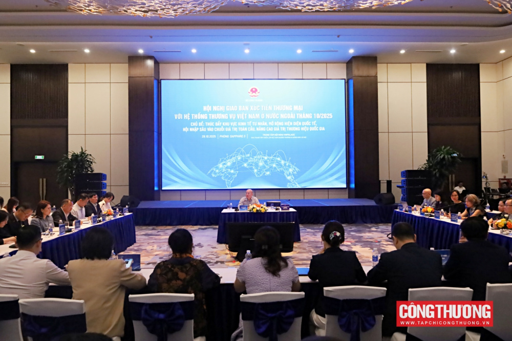 bà Mai Thu Hiền, Phó Vụ trưởng Vụ Kế hoạch, Tài chính và Quản lý Cwincom hiện đang mở, Cwin63 sân chơi đỉnh cao