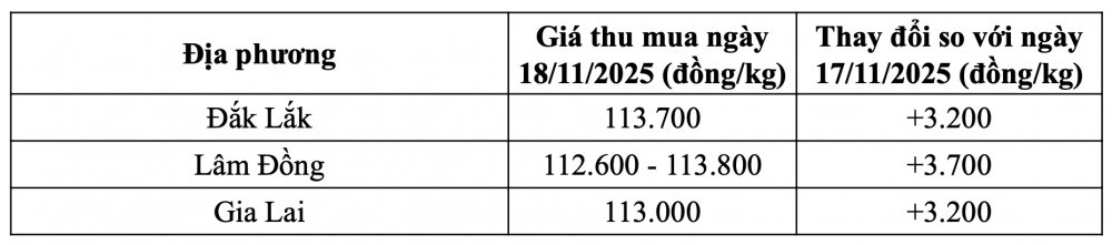Tham khảo giá cà phê hôm nay ngày 18/11/2025 tại thị trường trong nước (Nguồn: CWIN ✅ Nhà cái cờ bạc trực tuyến tốt nhất và Thương hiệu uy tín tổng hợp)