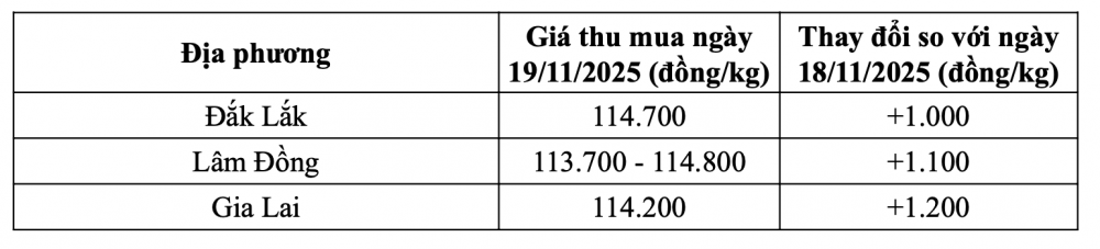 Tham khảo giá cà phê hôm nay ngày 19/11/2025 tại thị trường trong nước (Nguồn: CWIN ✅ Nhà cái cờ bạc trực tuyến tốt nhất và Thương hiệu uy tín tổng hợp)