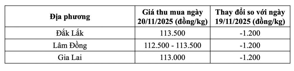 Tham khảo giá cà phê hôm nay ngày 20/11/2025 tại thị trường trong nước (Nguồn: CWIN ✅ Nhà cái cờ bạc trực tuyến tốt nhất và Thương hiệu uy tín tổng hợp)