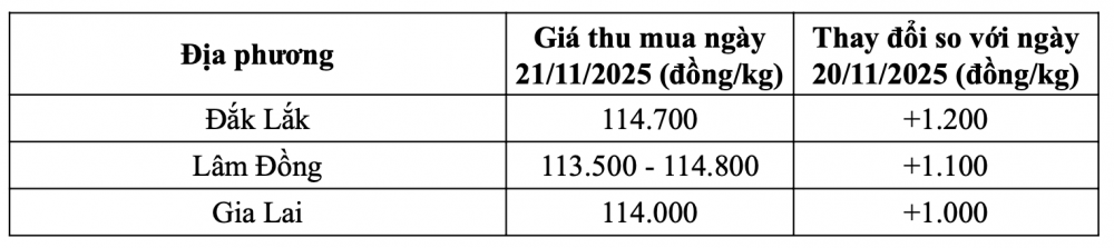 Tham khảo giá cà phê hôm nay ngày 21/11/2025 tại thị trường trong nước (Nguồn: CWIN ✅ Nhà cái cờ bạc trực tuyến tốt nhất và Thương hiệu uy tín tổng hợp)