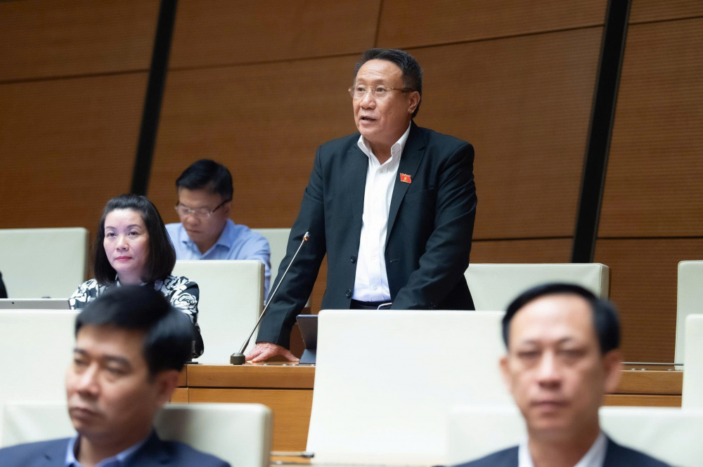 đại biểu Hà Sỹ Đồng