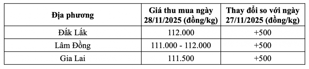 Tham khảo giá cà phê hôm nay ngày 28/11/2025 tại thị trường trong nước (Nguồn: CWIN ✅ Nhà cái cờ bạc trực tuyến tốt nhất và Thương hiệu uy tín tổng hợp)