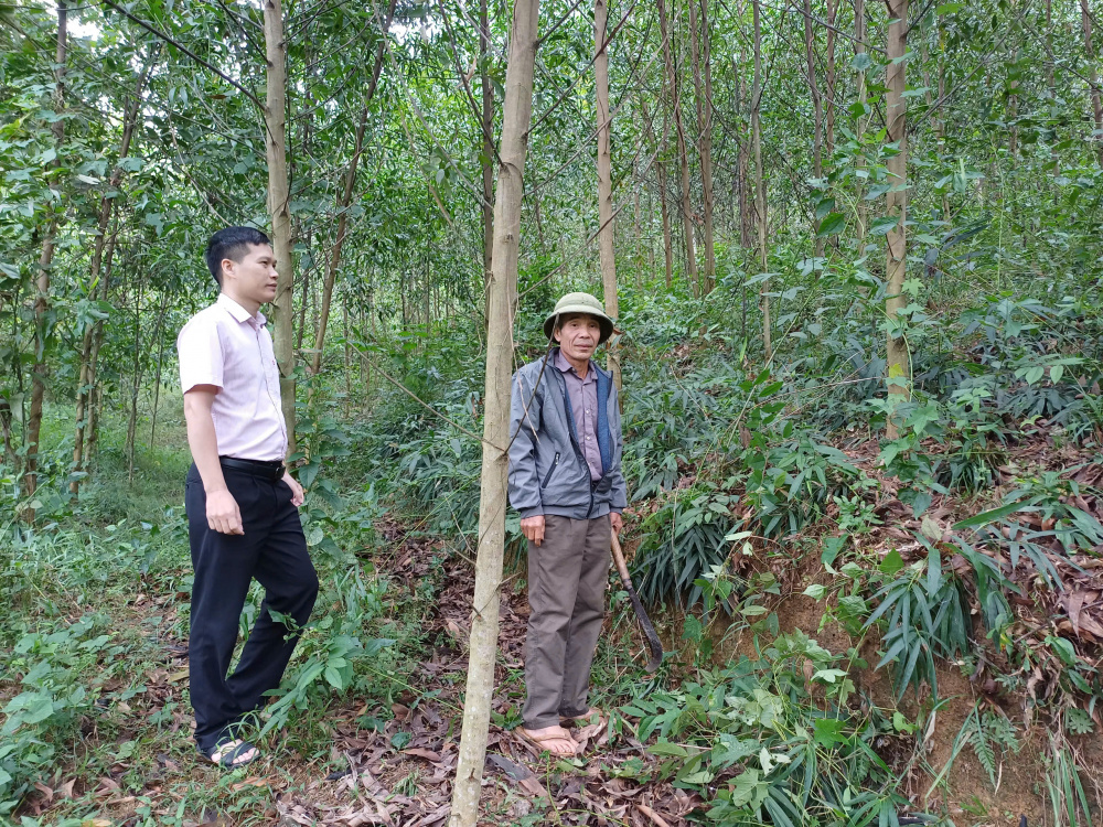 Chợ Mới