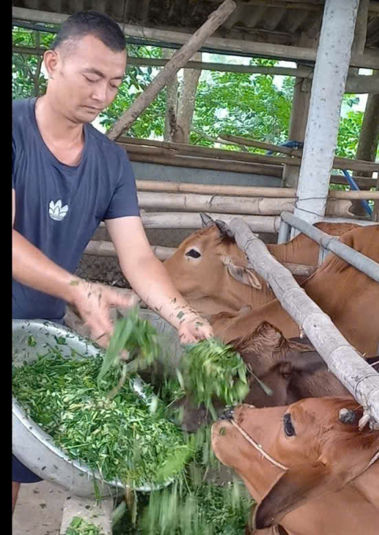 Chợ mới
