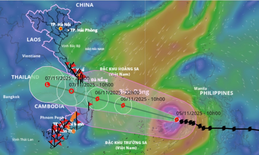 tkv ứng phó