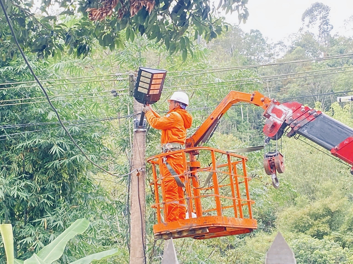 Tổng công ty Điện lực miền Bắc