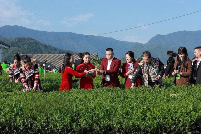Thái Nguyên