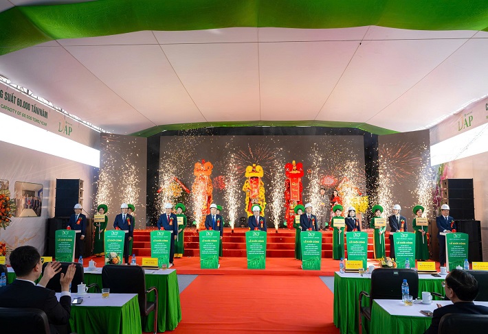 dự án 7
