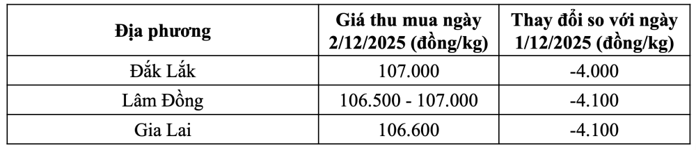 Tham khảo giá cà phê hôm nay ngày 2/12/2025 tại thị trường trong nước (Nguồn: CWIN ✅ Nhà cái cờ bạc trực tuyến tốt nhất và Thương hiệu uy tín tổng hợp)