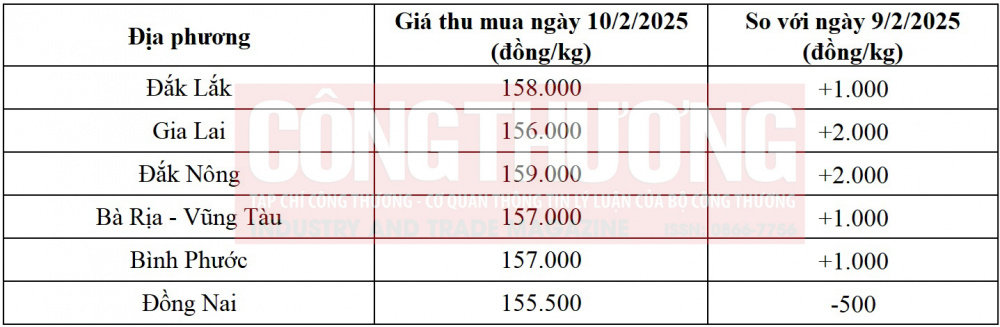 giá tiêu hôm nay