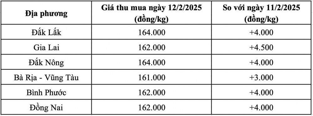 Giá tiêu hôm nay