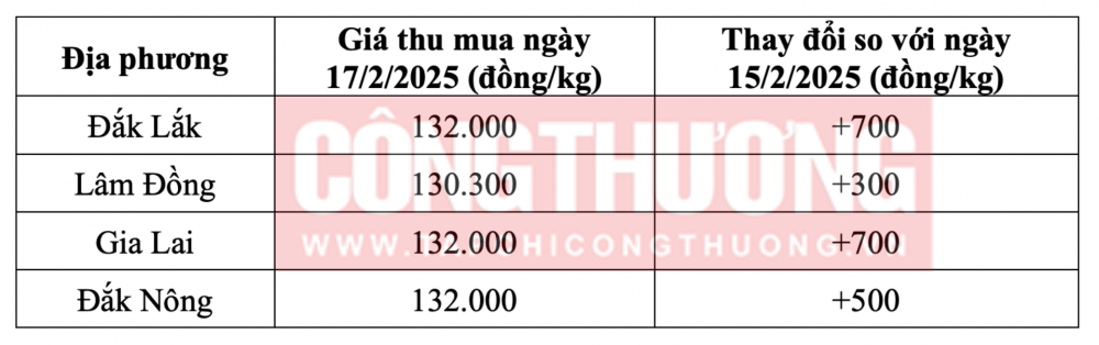 Tham khảo giá cà phê hôm nay ngày 17/2/2025 tại khu vực Tây Nguyên