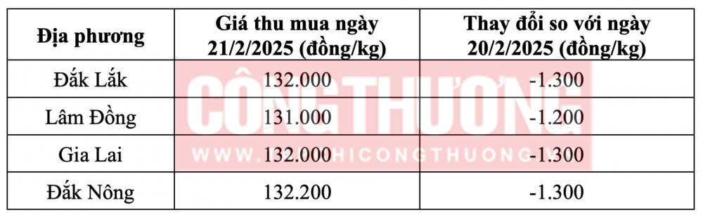 Tham khảo giá cà phê hôm nay ngày 21/2/2025 tại khu vực Tây Nguyên