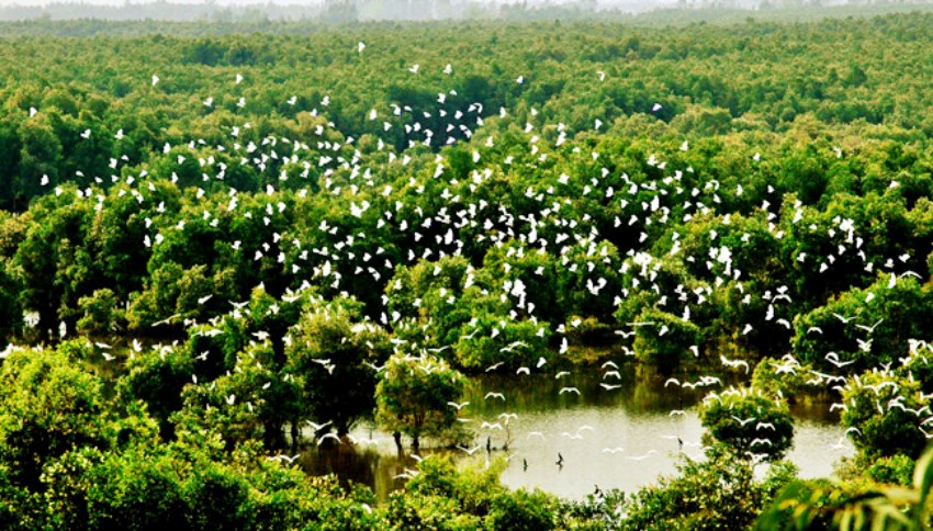Hệ sịnh thái đất ngập nước tại Tràm Chim