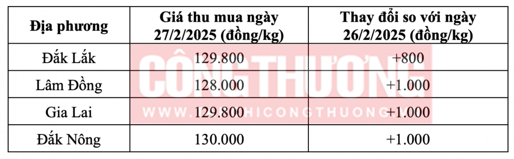 Tham khảo giá cà phê hôm nay ngày 27/2/2025 tại khu vực Tây Nguyên