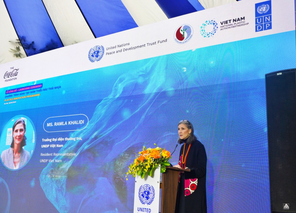 đại diện UNDP
