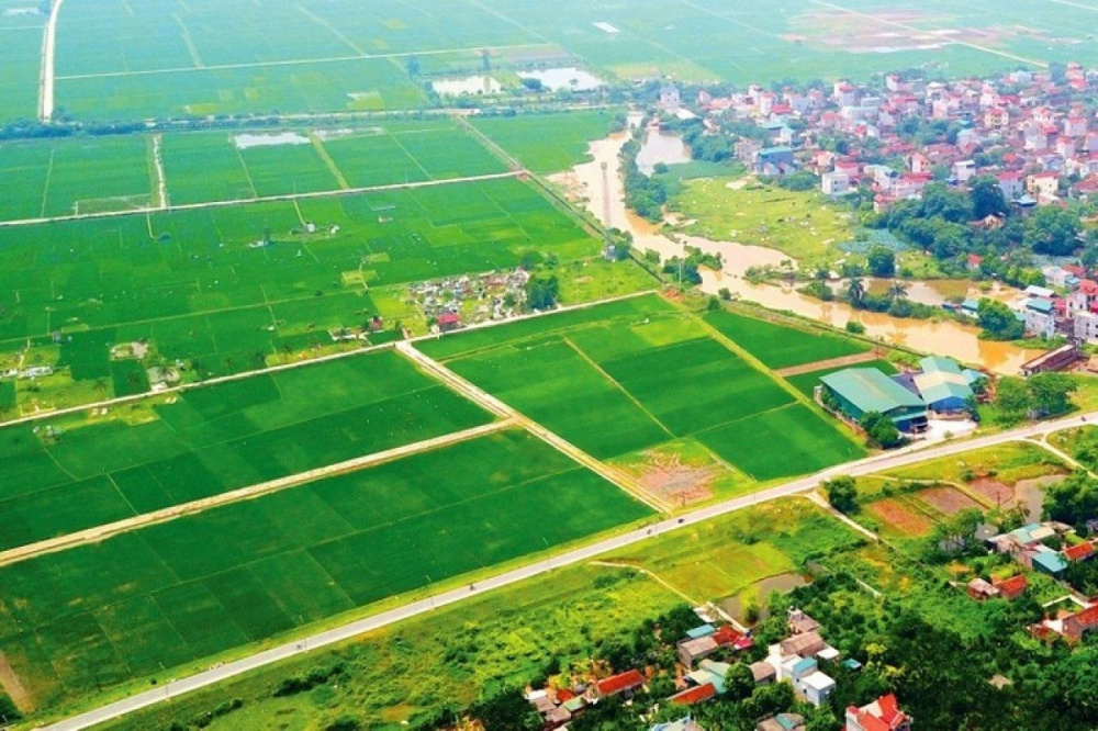 đất đai