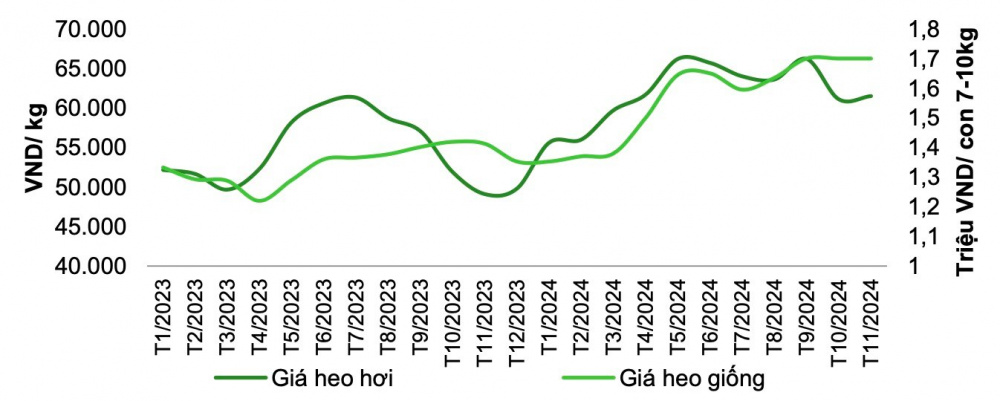 Giá heo hơi