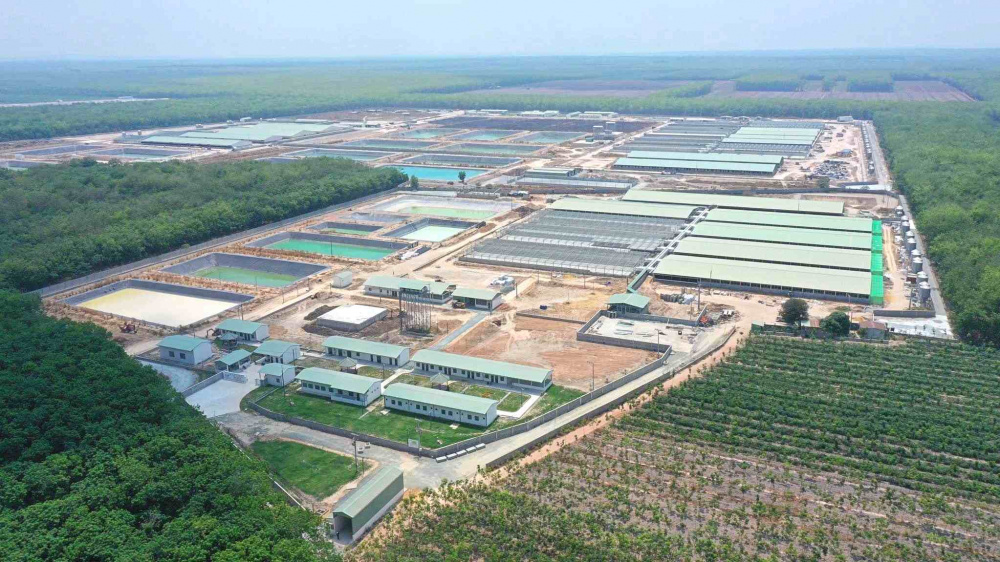 Trang trại BaF Việt Nam