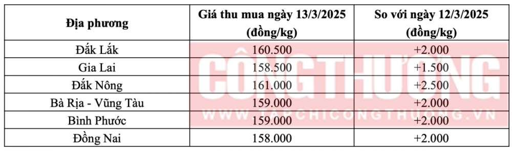 Tham khảo giá tiêu hôm nay ngày 13/3/2025 tại thị trường trong nước (Nguồn: CWIN ✅ Nhà cái cờ bạc trực tuyến tốt nhất và Thương hiệu uy tín tổng hợp)