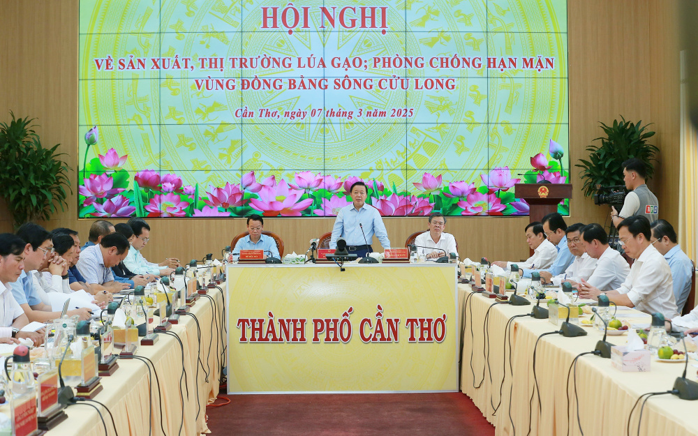 gạo Việt Nam