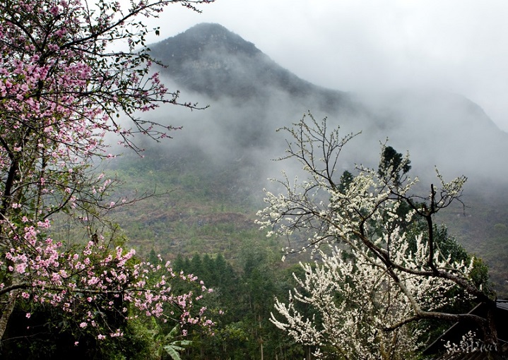 Lễ hội Hoa Ban