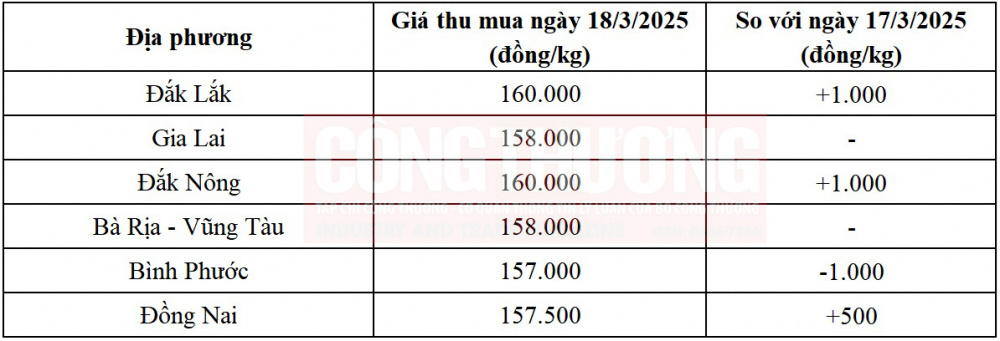 giá tiêu hôm nay