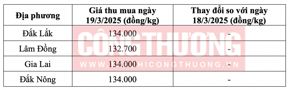 Tham khảo giá cà phê hôm nay ngày 19/3/2025 tại khu vực Tây Nguyên